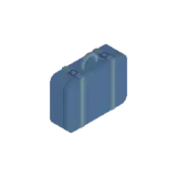 Luggage